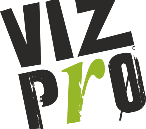 Vizpro logotipas 500